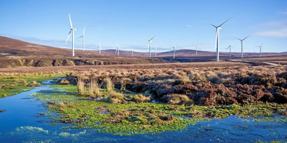 Wind farm with Nordex turbines