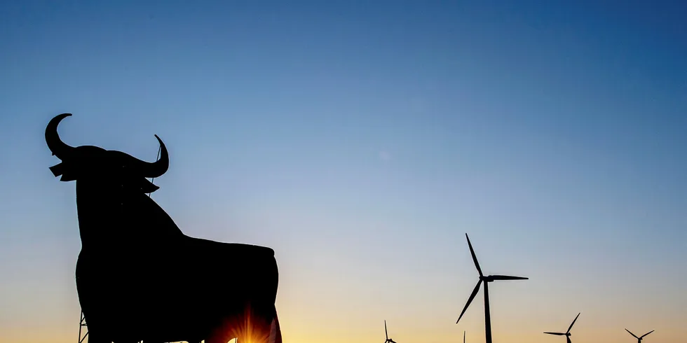 Saeta Yield owns 539MW of wind in Spain.