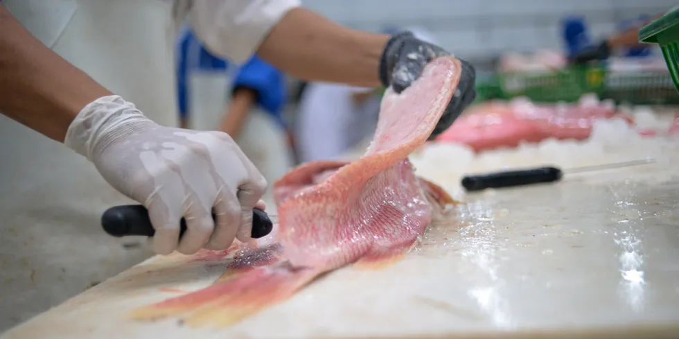 The job of getting fish ready to market is far from easy. More CEOs in the seafood industry should give it a shot.