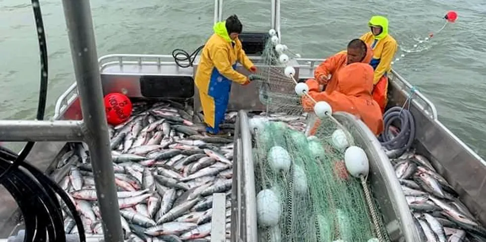 More consolidation has come to Alaska salmon sector.