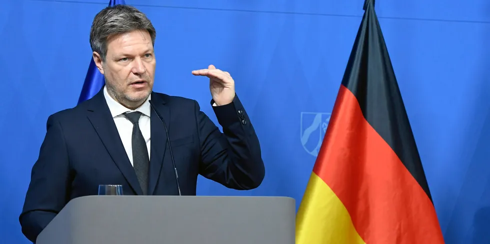 German climate minister and vice chancellor Robert Habeck (Greens)