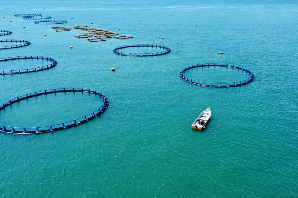 Barramundi Group began a restructuring process after signifi﻿cant losses in the first half of its 2023 financial year.