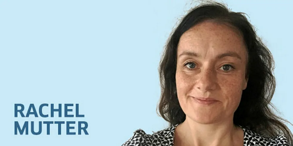 There is nothing to cheer for in a 'no deal' Brexit