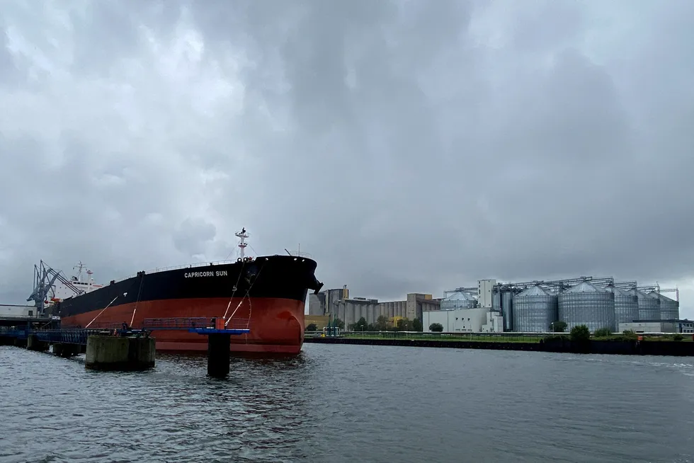 Helping hand: The Capricorn Sun oil tanker, pictured carrying Mars Sour oil off the Louisiana coast in the US before heading for the port of Rostock in Germany