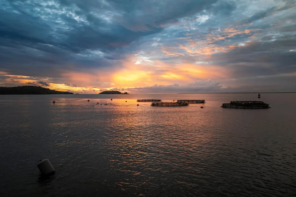 Founded in 2012, Oceanpick farms barramundi in Trincomalee in northeastern Sri Lanka.