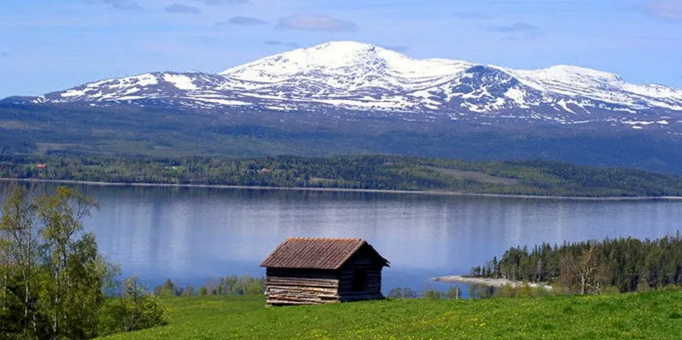 Kjallson Lake in Sweden. Developers hope to farm Arctic char in the area, and use the area's beauty as a core part of its brand.