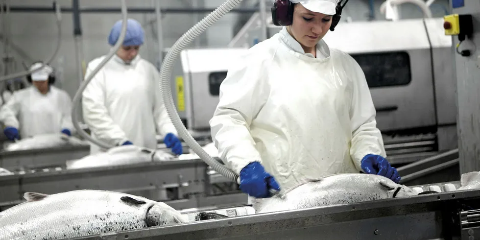 Bakkafrost employees in the Faroe Islands will start receiving coronavirus tests in April.