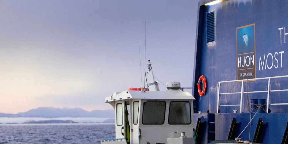Huon Aquaculture drops out of Global Salmon Initiative