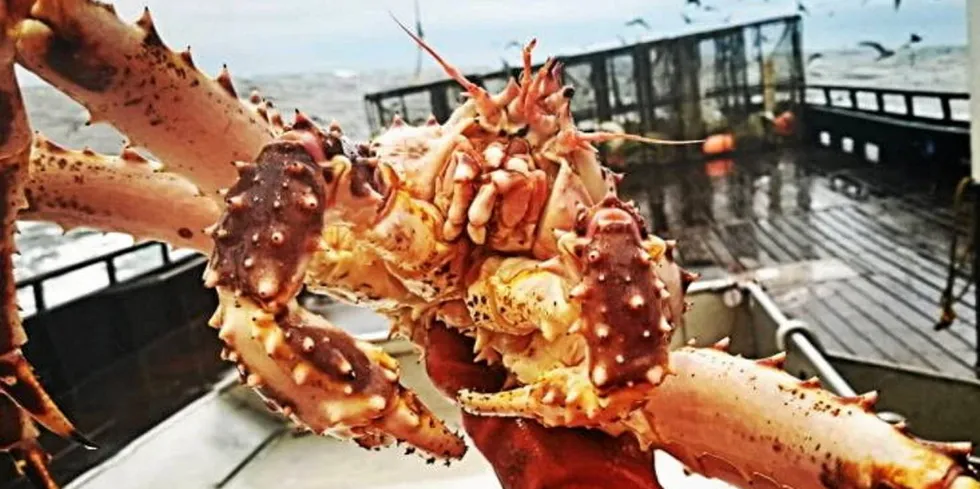 Alaska's iconic Bristol Bay red king crab fishery has been closed for two years.