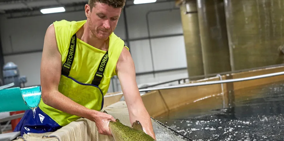 Peter Bowyer, a farm manager with AquaBounty, overseeing operations.