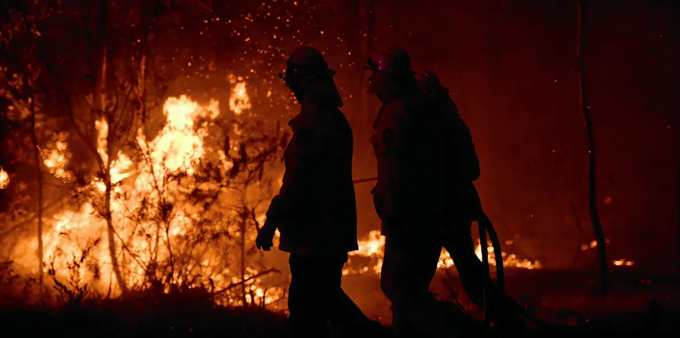A Rural Fire Service (RFS) firefighter conducts mopping up near the town of Sussex Inlet in Sydney, Australia. There are a number of dangerous bushfires burning at emergency level across NSW.