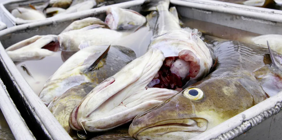 Cod quotas are expected to hold steady.