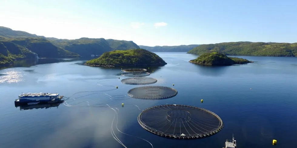 A Cooke Cold Ocean salmon farming site site in Newfoundland.