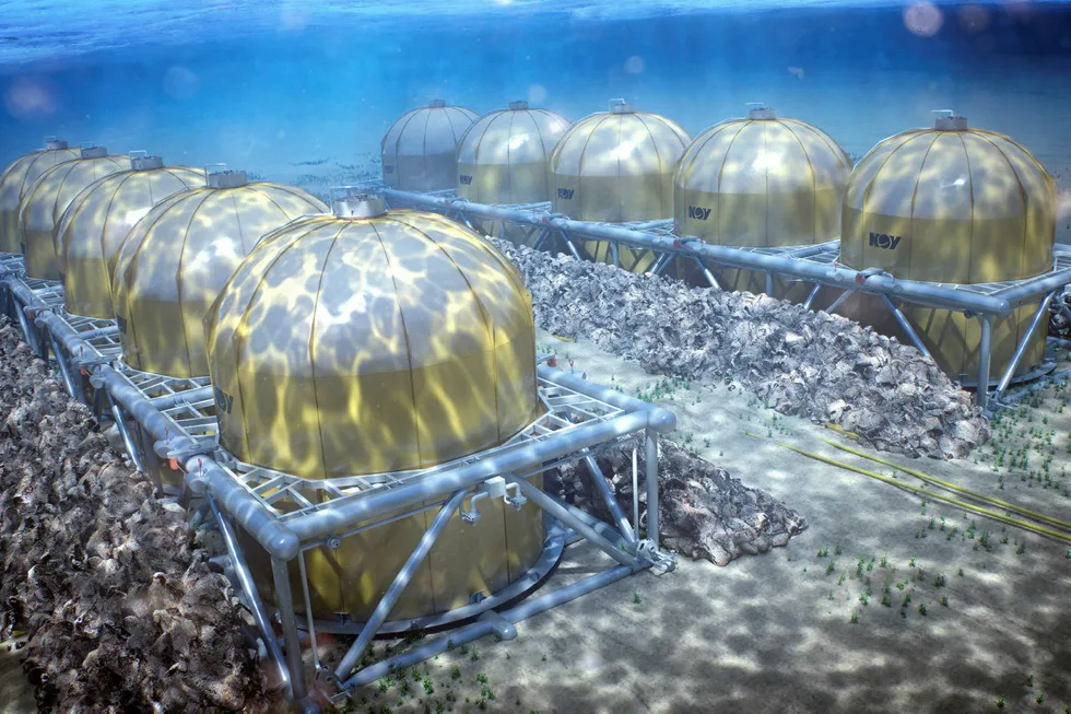 Future in store: the NOV subsea storage technology