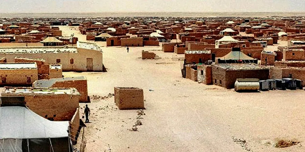 Tindouf refugee camp, Algeria