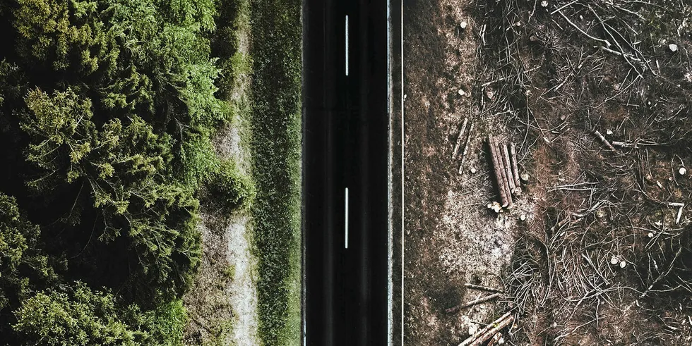 The soy industry is a key contributor to deforestation in the Brazilian rainforest. Now 20 percent of the global salmon farming industry is pushing for an earlier cut-off date.