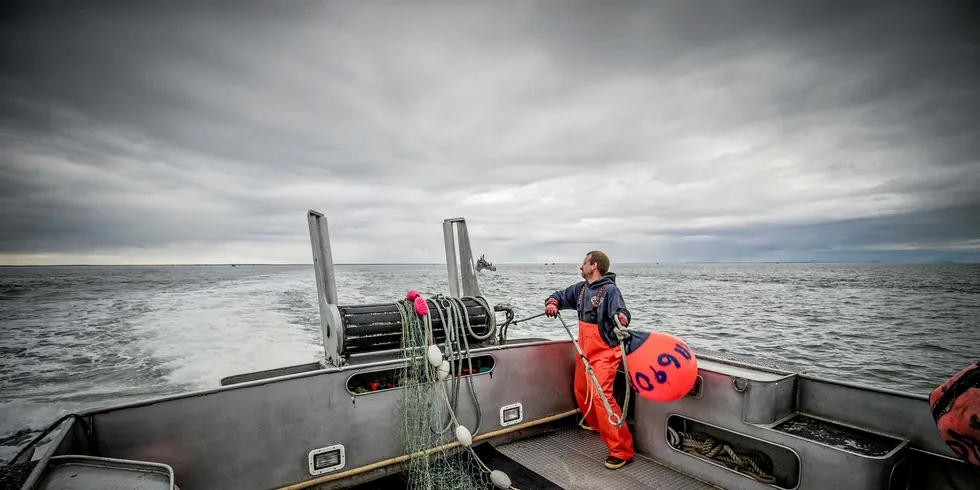 Bristol Bay's overall harvest has beat forecasts. The district is the lone bright spot in an otherwise dismal season for the state.