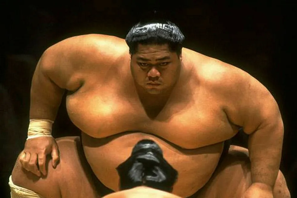 sumo
