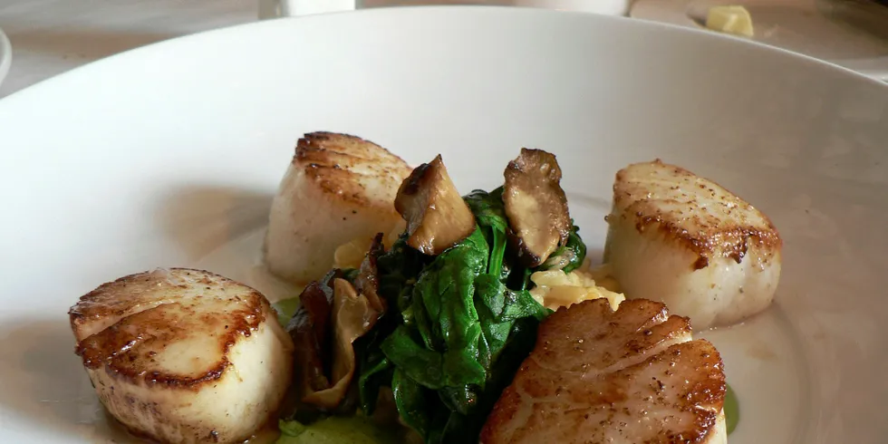 Scallops - Flickr/stuart_spivack