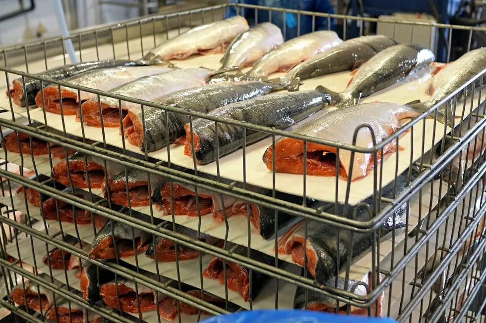 Alaska salmon processors say they are in dire need of upgrading their facilities to keep up with the rest of the world.
