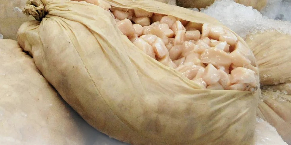 Fresh scallops sold by Raw Seafoods.