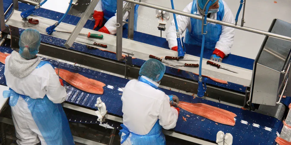 Salmon prices are on the way up.