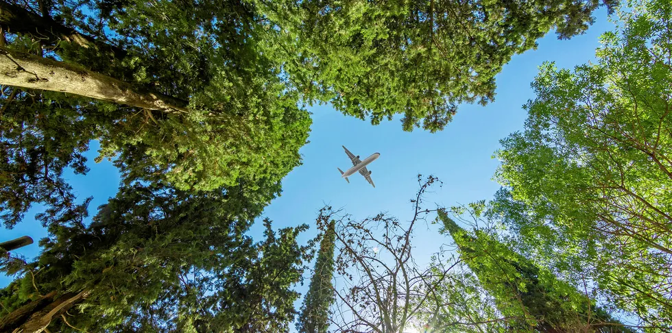 Plant life and aviation: a marriage made in heaven?