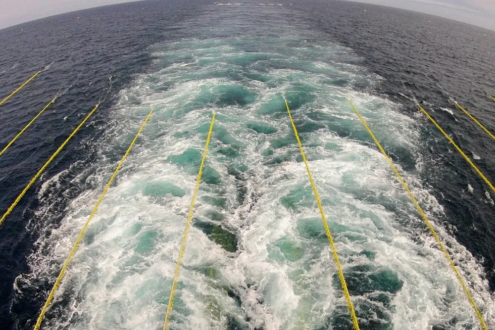 Seismic: US to reconsider Atlantic permits