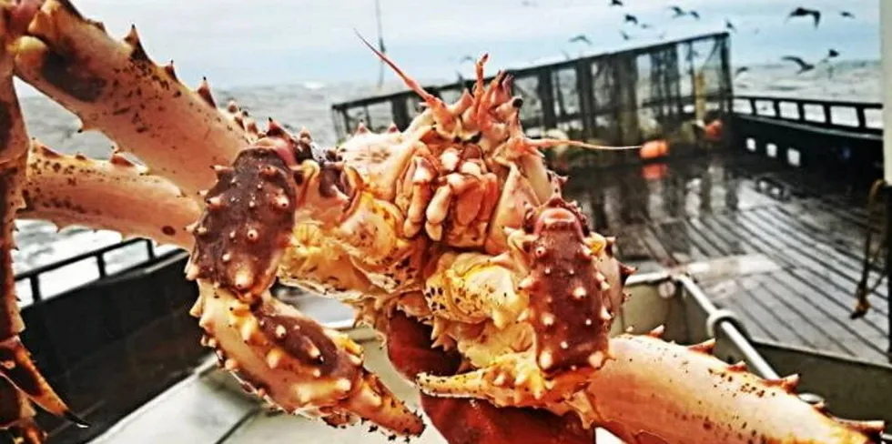 Alaska's iconic Bristol Bay red king crab fishery was closed last fall for the first time in over 25 years a.