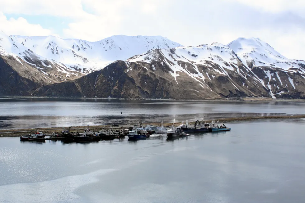 The snow crab will be processed in Unalaska, according to the agreement.