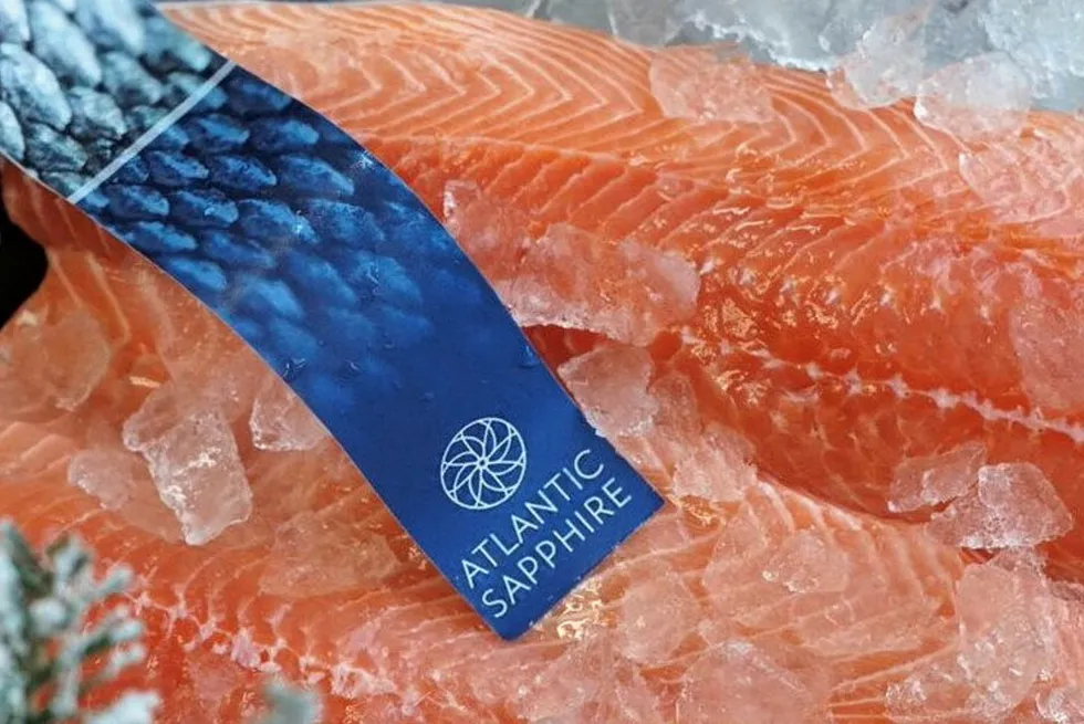 With the latest funding Atlantic Sapphire will be aiming to step up production of fresh land-based farmed salmon fillets .