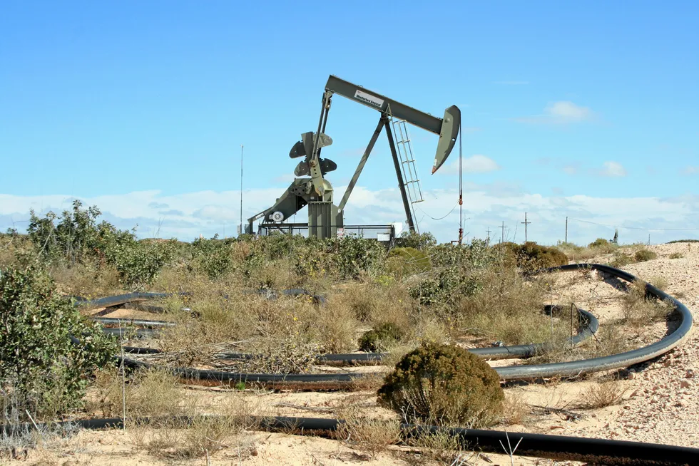 Hotspot: Canada’s Freehold Royalties has bought additional acreage in the US Permian basin, marking the third major deal this week