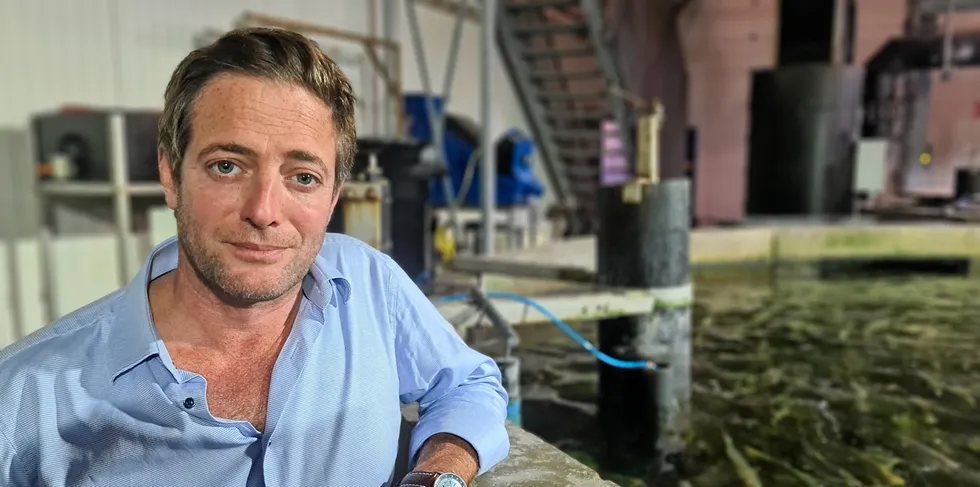 The Kingfish Company CEO Ohad Maiman says they have now stabilized at full capacity for phase 1 and are ready to launch capacity for phase 2.