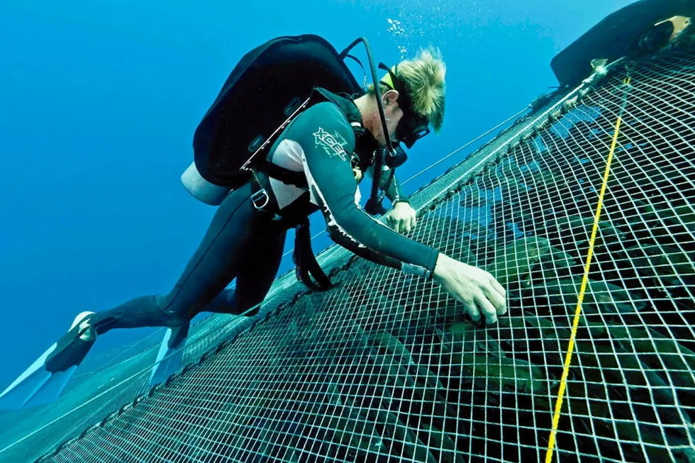 Of all the ways to spend her largesse, Christy Walton has focused on offshore aquaculture -- what she sees as one of the key's to future ocean health.