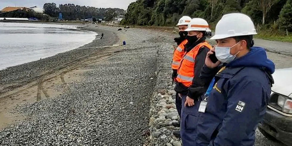 Officials on site at the impacted Salmones Camanchaca farm.
