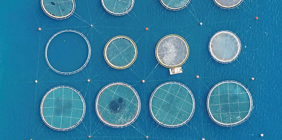 Fish farming in Greece.