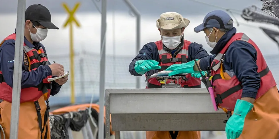 A strong earnings quarter for Salmones Austral despite lower harvests and sales volumes.