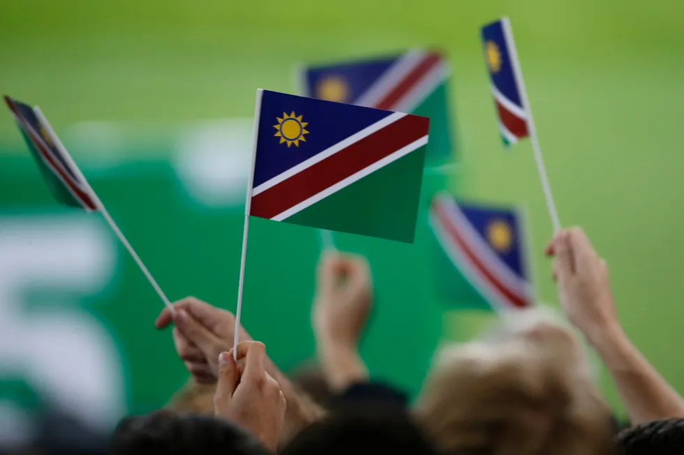 Rugby fans hold Namibia flags.