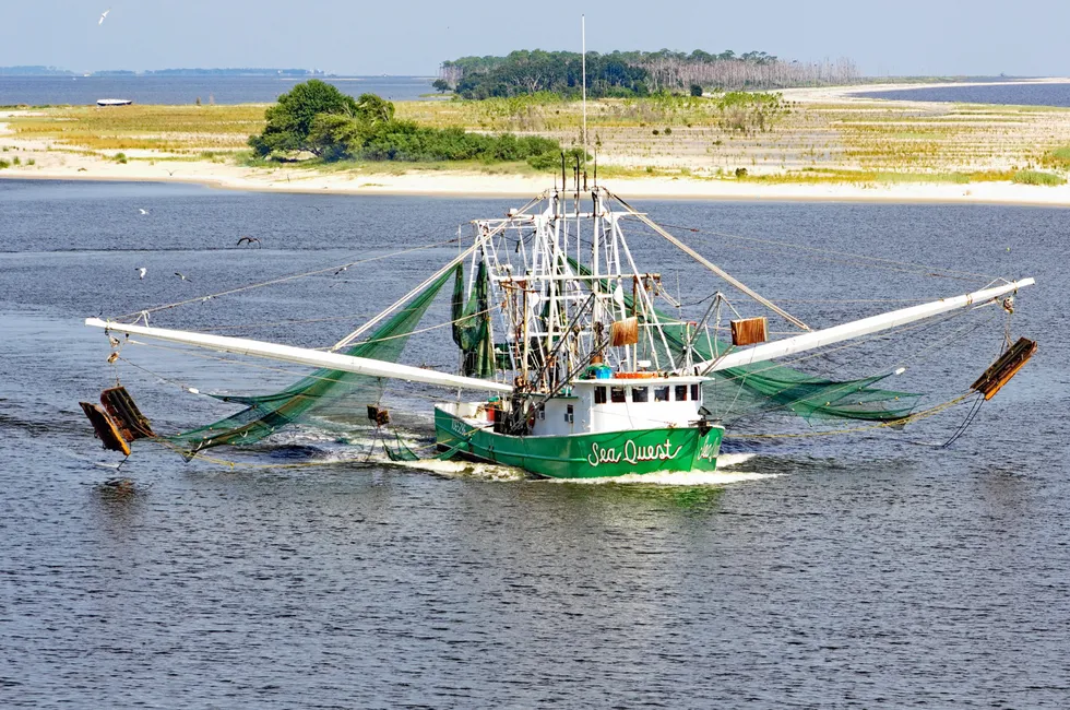The US Gulf of Mexico shrimp fishery is now certified to the Responsible Fisheries Management standard.