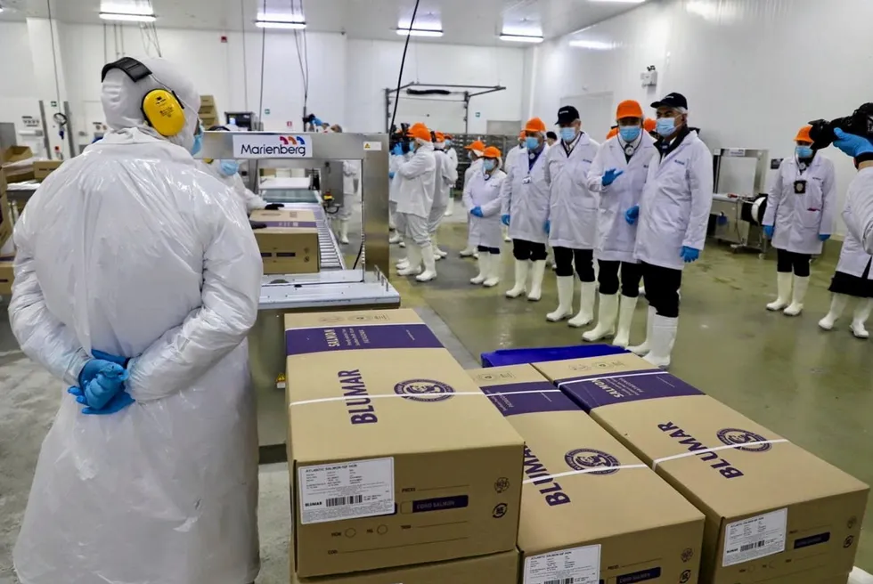 Blumar aims to employ around 450 workers at the plant in Chile's Magallanes region.
