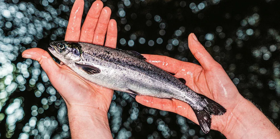 Fund raising: Salmon smolt farmer BioFish is taking it public.