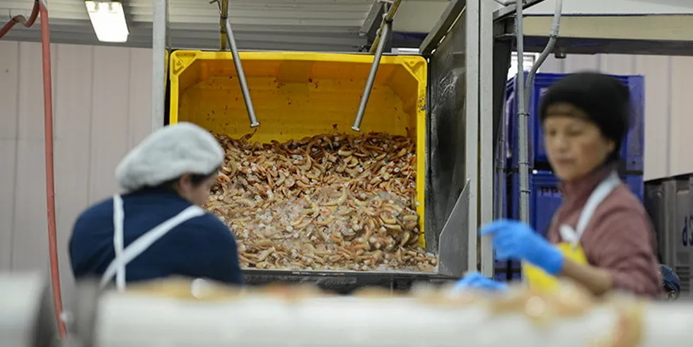 The contract awards followed US lawmaker Garret Graves' request that the agency help alleviate pressure felt by Louisiana’s shrimp industry caused by natural disasters, higher fuel prices and labor and supply chain issues.