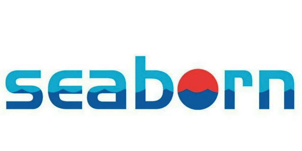 Company profile: Seaborn