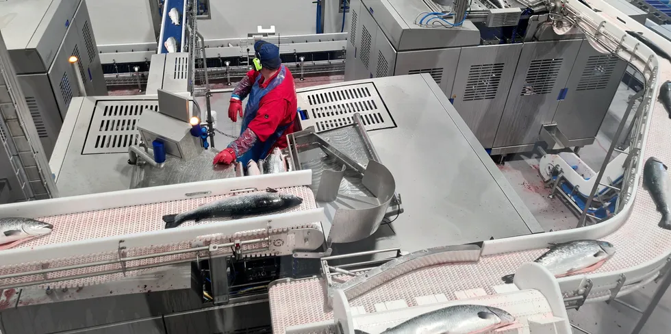 Where salmon prices settle by the end of the day is unclear.