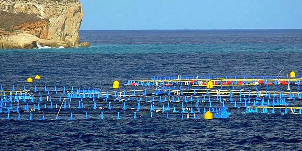 A Malta tuna farm.