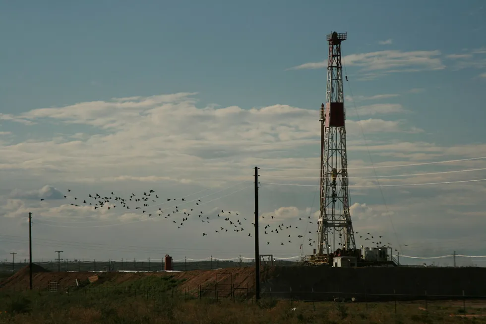 Permian basin: Lilis looks to delineate acreage