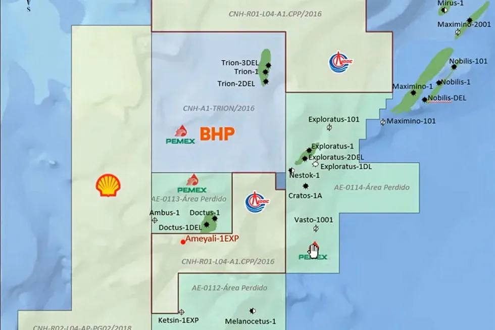 Ameyali 1: CNOOC Ltd plans for well