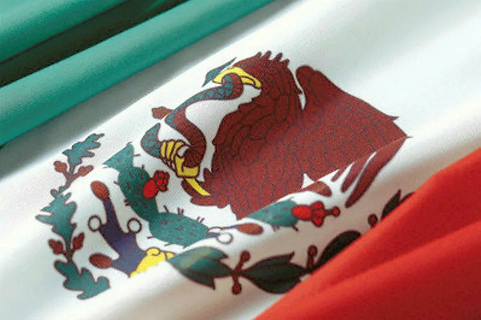 Mexico process: Farm-out proceedings conducted by CNH still advancing