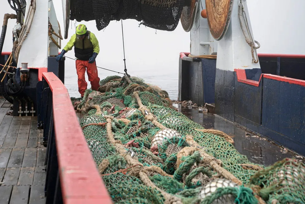 Trident is looking at way to innovate its Alaska pollock fishing.