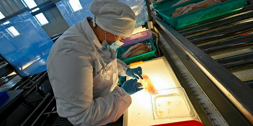 Russian Fishery Company (RFC), one of the country's largest producers of whitefish, kick-started commercial production at its pollock processing facility in Primoriye in the Far East, which was built as part of Russia's investment quota program.